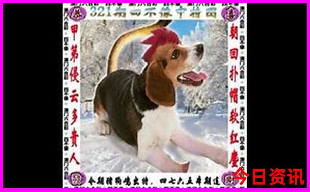 11—12月适合旅游的地方